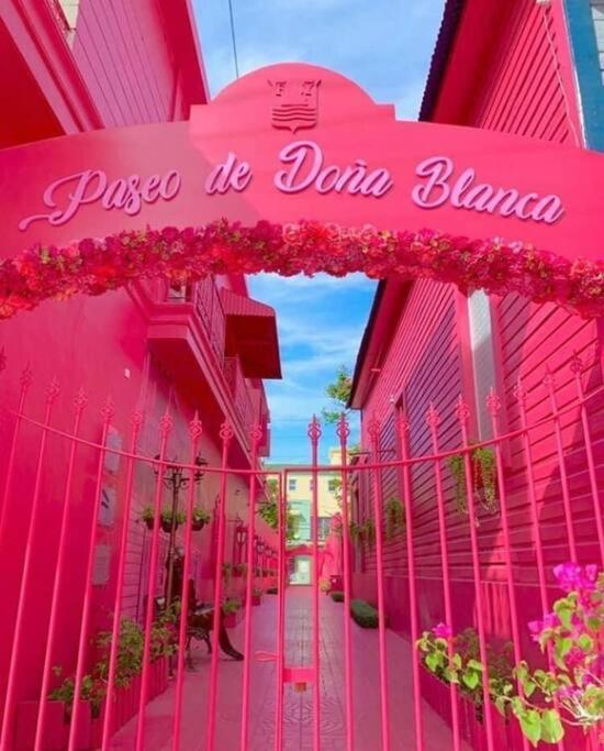 La Casa De Mama Luz Lägenhet Puerto Plata Exteriör bild